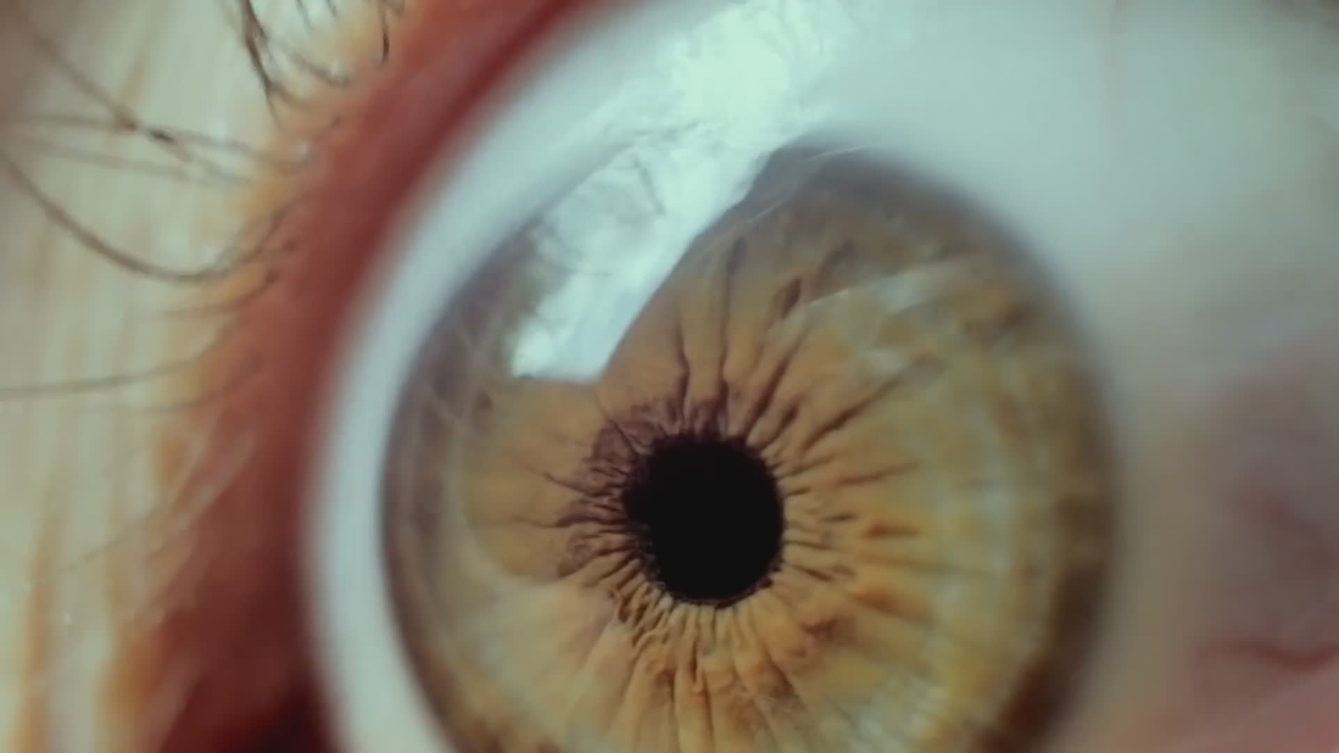 Bizarre things you didn't know about eye colors