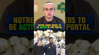 Key spots on the #Irish D-Line could be plugged with talent from the portal 👀 #football #shorts