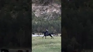 Now I would like to go to the mountains on a horse 🐴🥹❤️