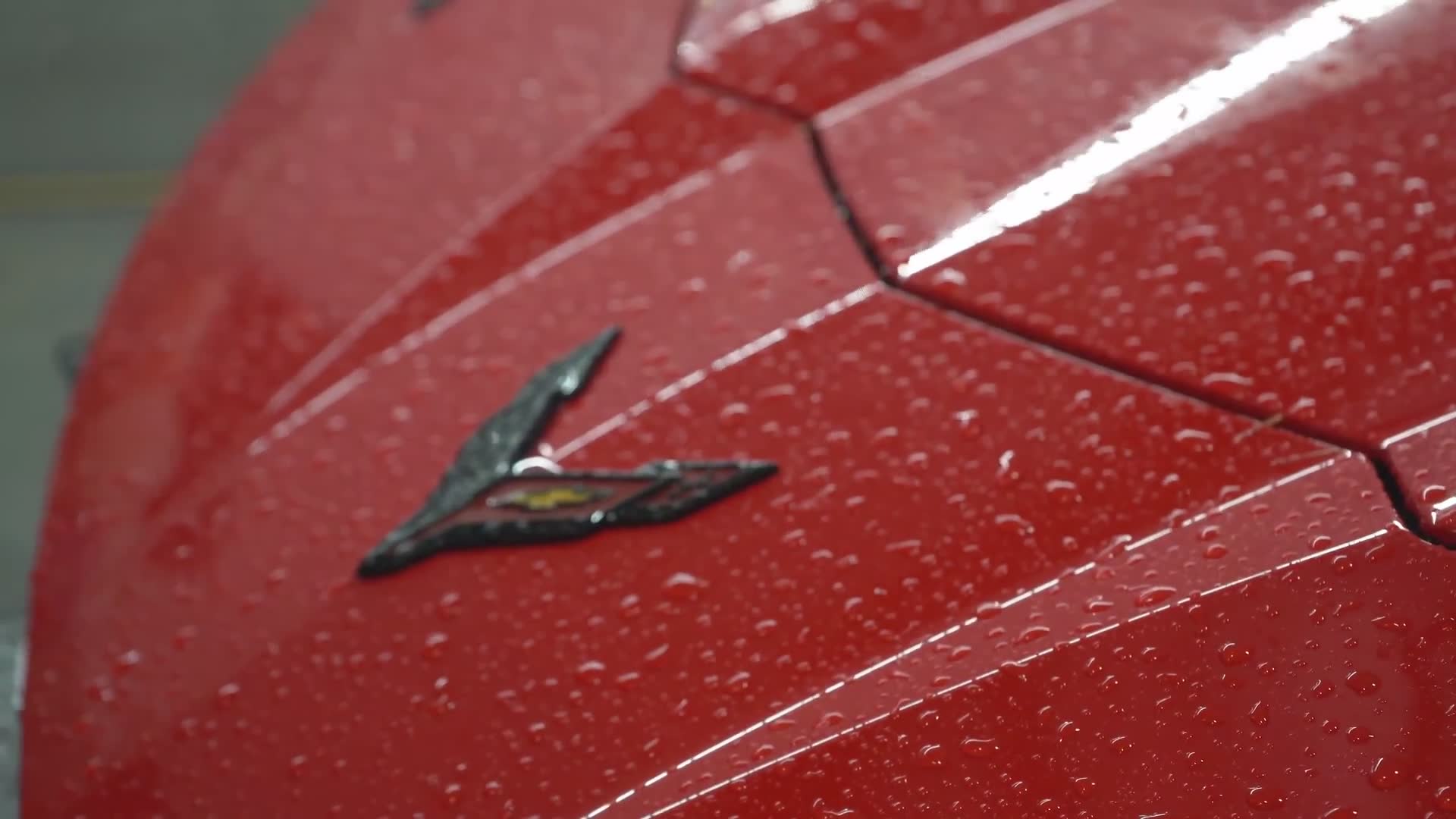 Evaluating cost versus benefit of professional paint protection