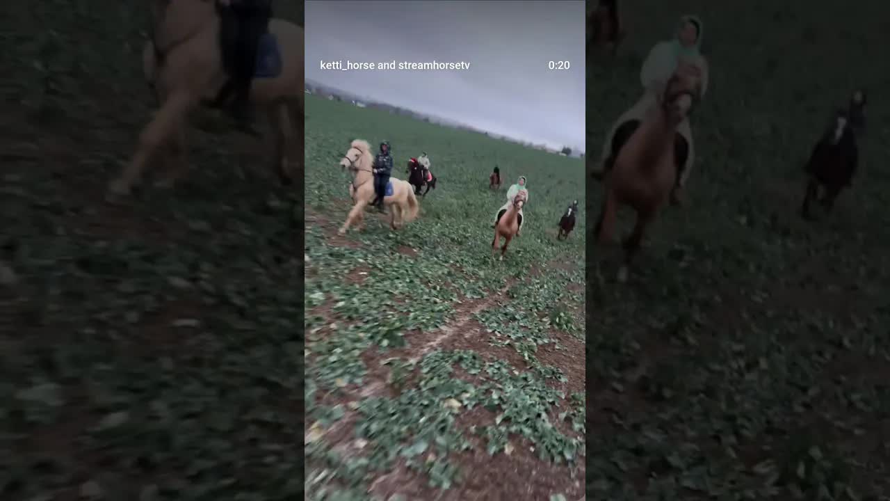 oh my gosh 🙀🐴