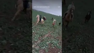 oh my gosh 🙀🐴