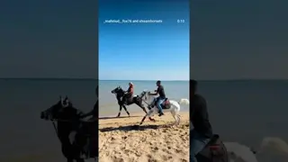 A shared Christmas ride along the beach 🤍🐎