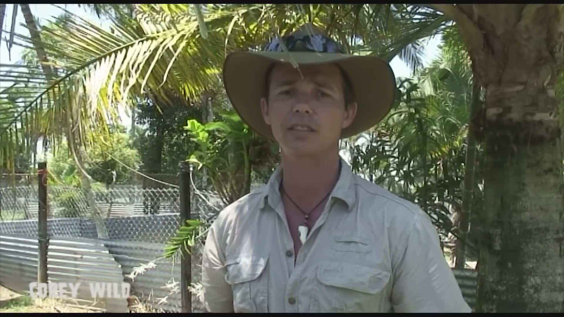 Ranking Australia's most dangerous wildlife species