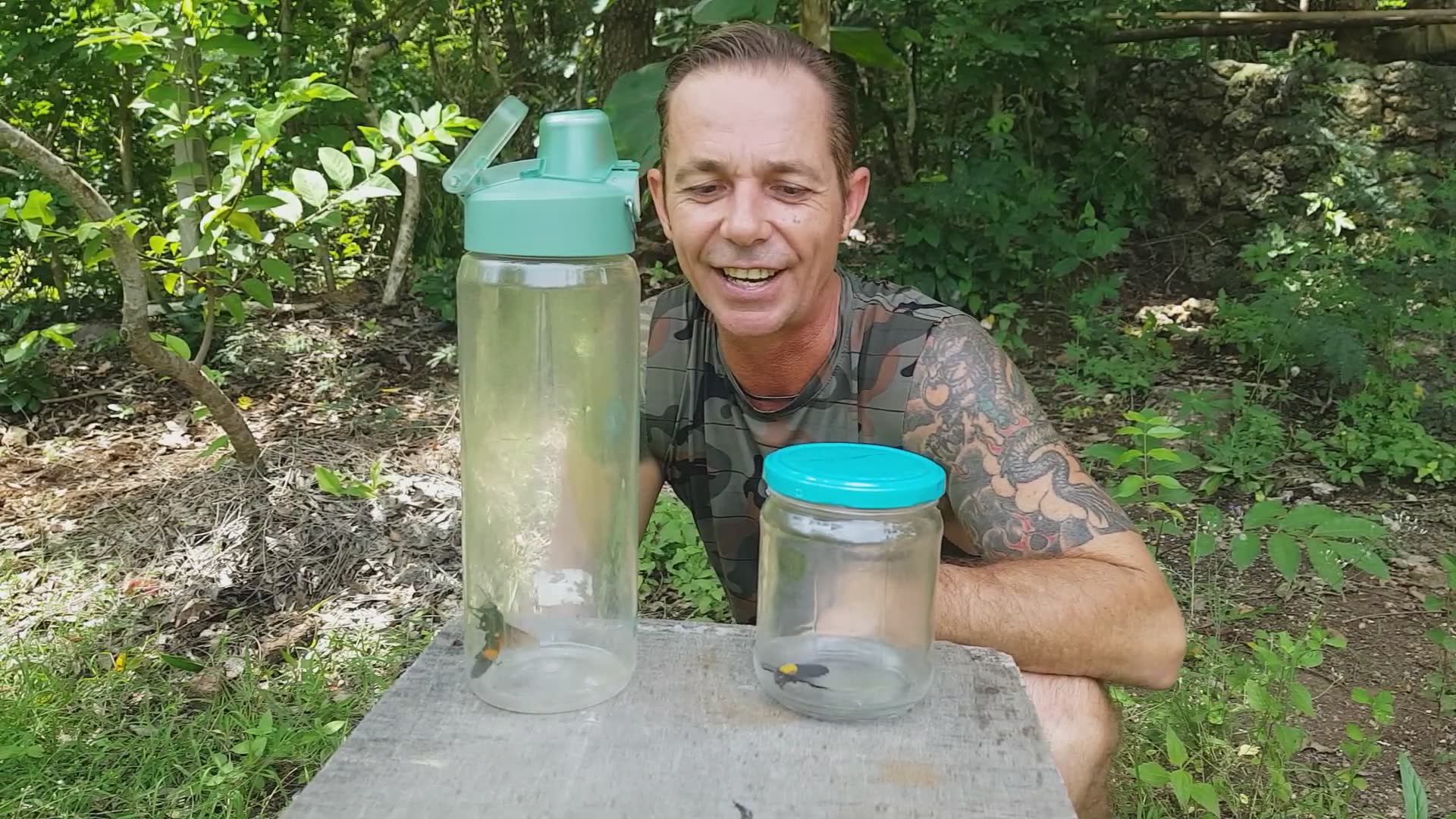 Educating about giant hornet stings and treatment