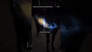 They’re our universe 🌌🔥🐎🛡️