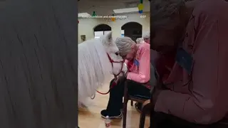 Romeo making a 💞 connection!! 💕🦄