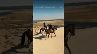 Fayoum National Park: An extraordinary place for a horseback escape in Egypt.