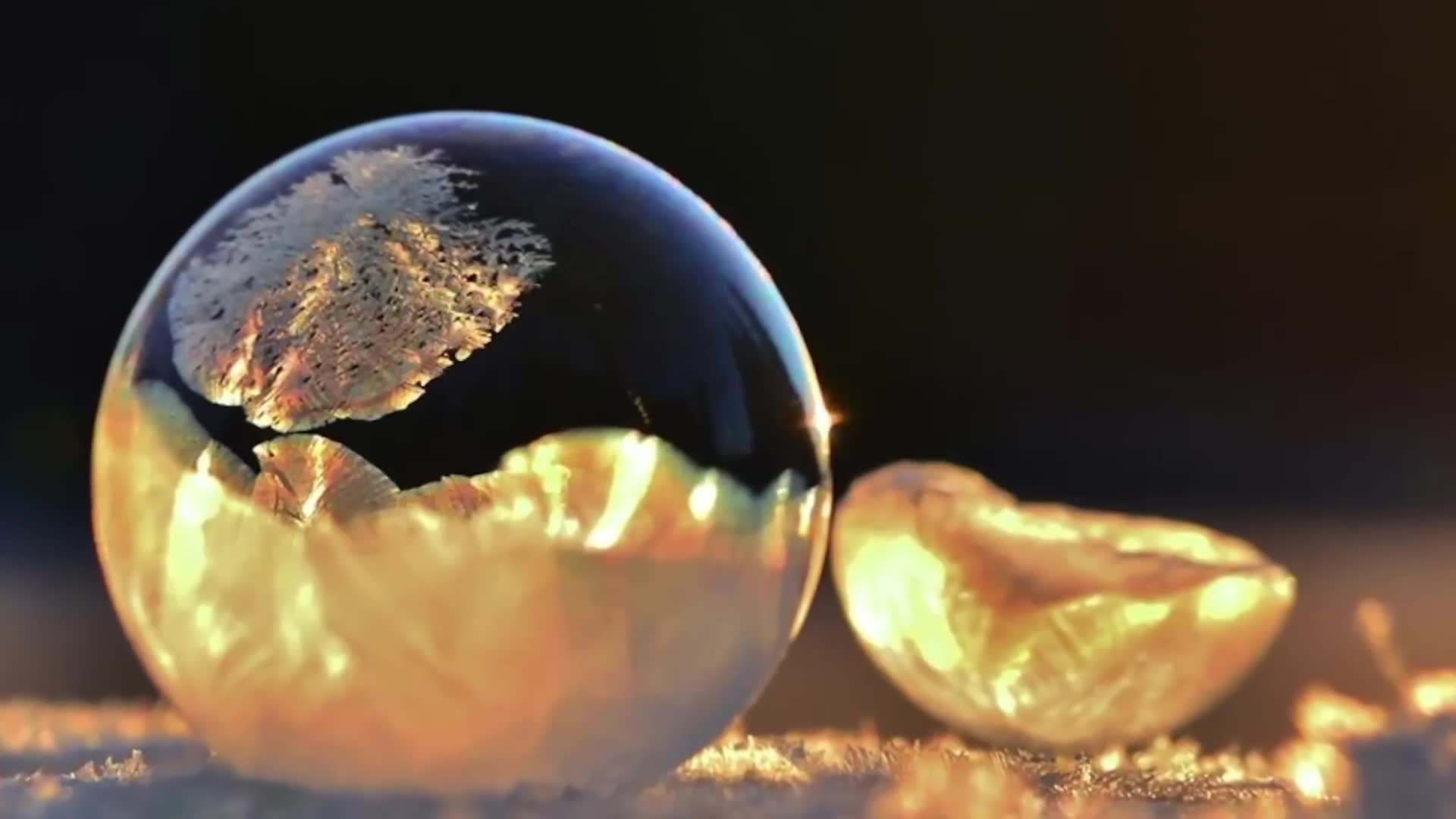 Wonderful random facts to enjoy before going to sleep