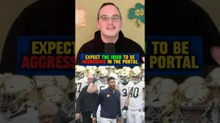 The #Irish will be big players in the initial portal window looking to rebuild their roster #shorts