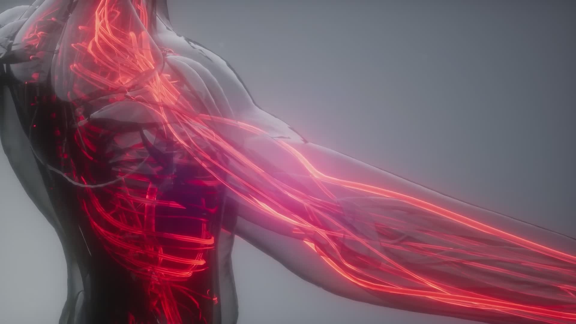 Amazing facts about the human body