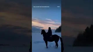 beautiful winter sunset moments 🐎