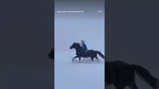 Finding magic in the mist 🐎❄️ Deep trails, quiet moments, and hooves that know the way.