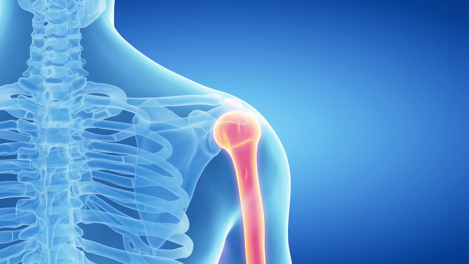 Understanding different bone density testing options