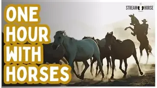 1 Hour of Horses & Nature 🌍🐎 | 60 Minutes of Peaceful Motion, Travel & Calm