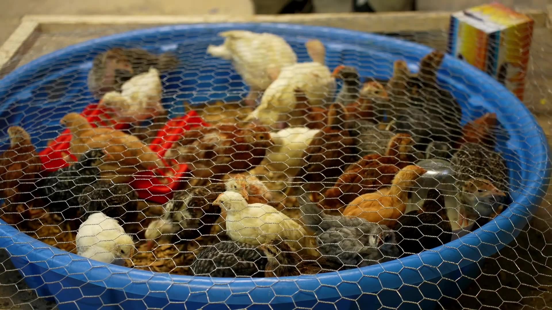 Sustainable protein for emergencies