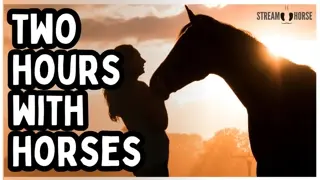 2 Hours of Horses for Mental Health Relief 🐎😌 Deep Calm, Stress Reduction & Nature Escape
