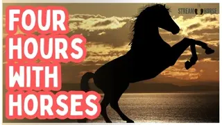 Year of the Horse Chinese Zodiac Celebration ✨🐎🌙 4 Hours of Horses