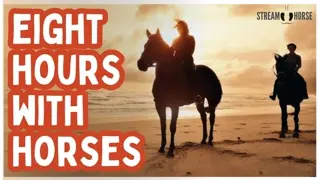 8 Hours of Horses in Endless Motion 🐎🌍 Deep Calm, Focus & Timeless Escape