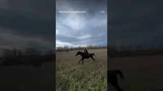 This is a fierce mix 👩🏼🐴