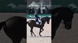 Congratulations Christian Simonson 🇺🇸 & Indian Rock 🎸 on victory in the CDI Grand Prix & Freestyle
