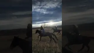 Babe, don't try to call 💣❤️‍🔥🐴