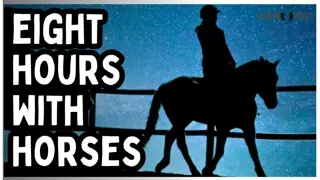 8 Hours of Horses for the Soul 🐎✨ Peace, Hope & Quiet Joy During Stressful Times