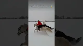 you: snowfall - under the blanket me: snowfall - on horseback through a blizzard! ❄️🐎