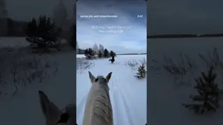 Pure therapy, no words needed