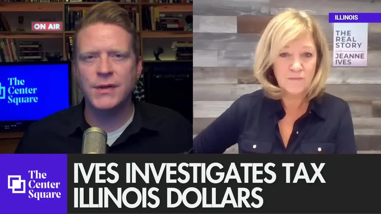 Ives investigates tax Illinois dollars for NGOs