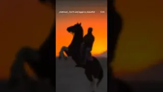 If Allah is pleased, then peace be upon this world and all that is in it...!! 🐴🤝