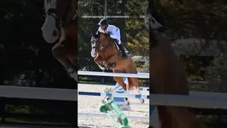 Magic Mark 🪄 🐎 & the elegant, scopey, fast S&L Eyes 4U 👁️👁️ winning today’s $15,000 1.40M Grand Prix