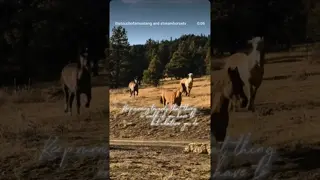 the greatest victory in life is simply to not give up 🐎