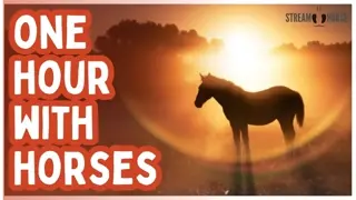 Put This On for You and Your Pets 🐎🐶🐱 1 Hour of Calm Horses & Nature