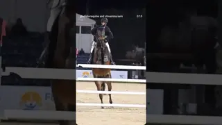 All of the excitement & competition of the 2026 Winter Equestrian Festival meets Gladiator Equine. 🧬