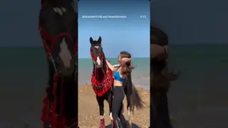 Experience a unique and wonderful feeling 🐎🌊 Horses in the water & freedom in every moment. 💙🇪🇬