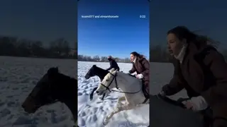 winter horse racing 🖤🤍