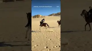 Horse riding isn't crazy… the crazy thing is living without that feeling 🐎🔥