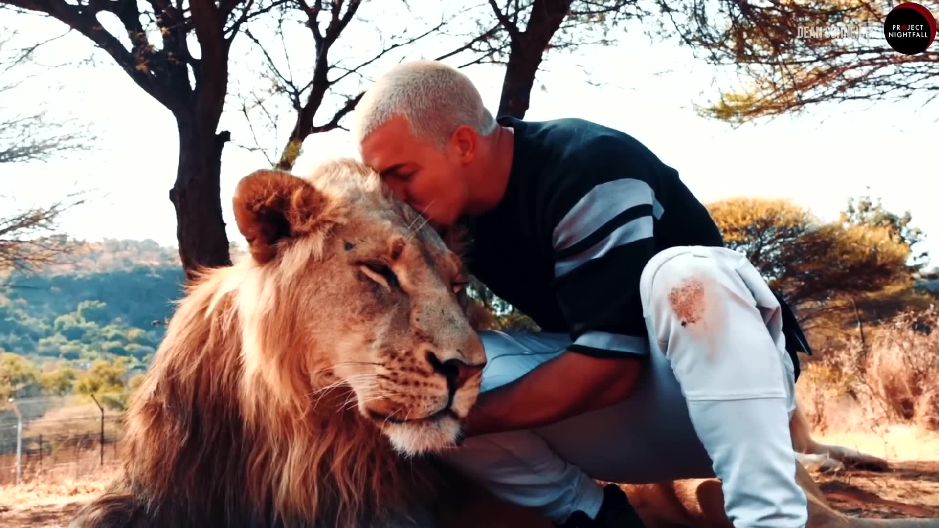 Man's unusual bond with wild predators defies nature