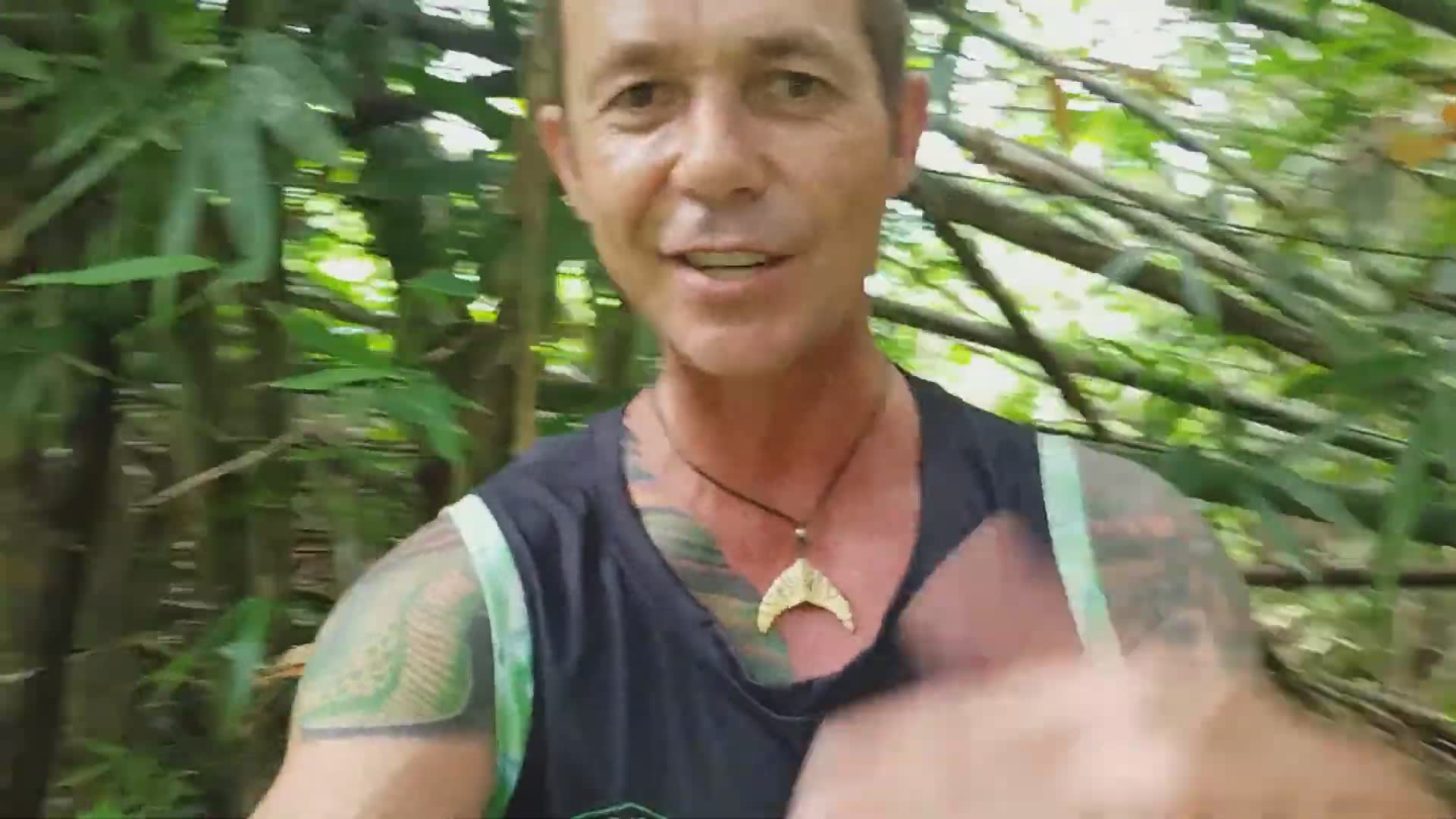 King cobra protecting nest from intruders