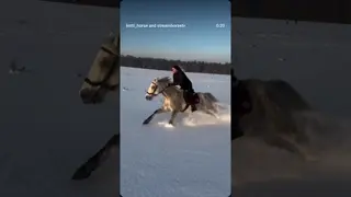 🌪️❤️
