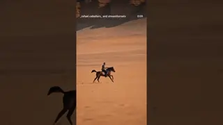 Be kind to your teammates. Even the most powerful animal will give you its best. 🐎