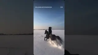winter storm horsepower 🌪️🌬️