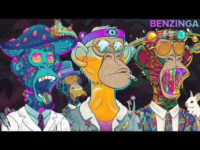 Trippin Ape Tribe INTERVIEW (not a cult) | Top Solana NFT Project | The Roadmap