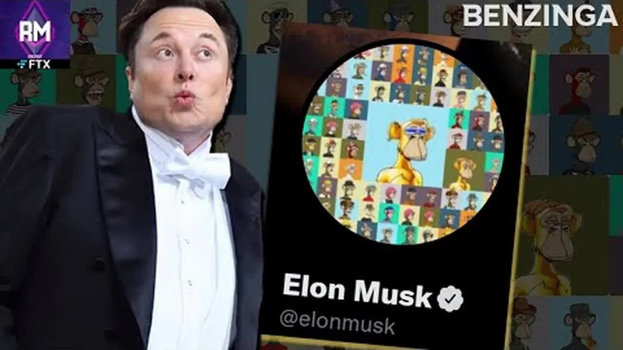 REPLAY: Does Elon Musk own 101 Bored Apes or Did he Right Click Save?? | The Roadmap