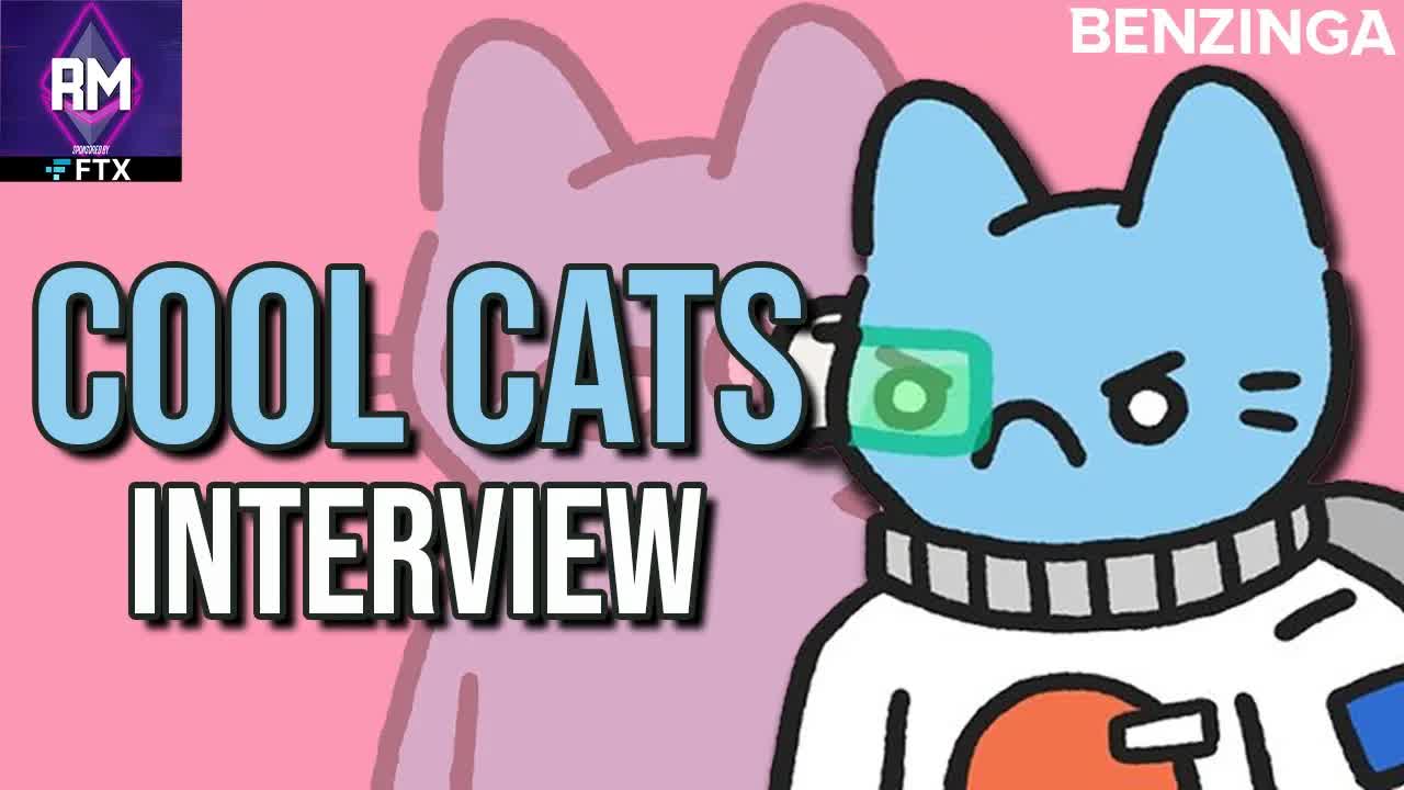 We Talk To Cool Cats NFT 🆒🐱 Founder Chat | Benzinga's The Roadmap
