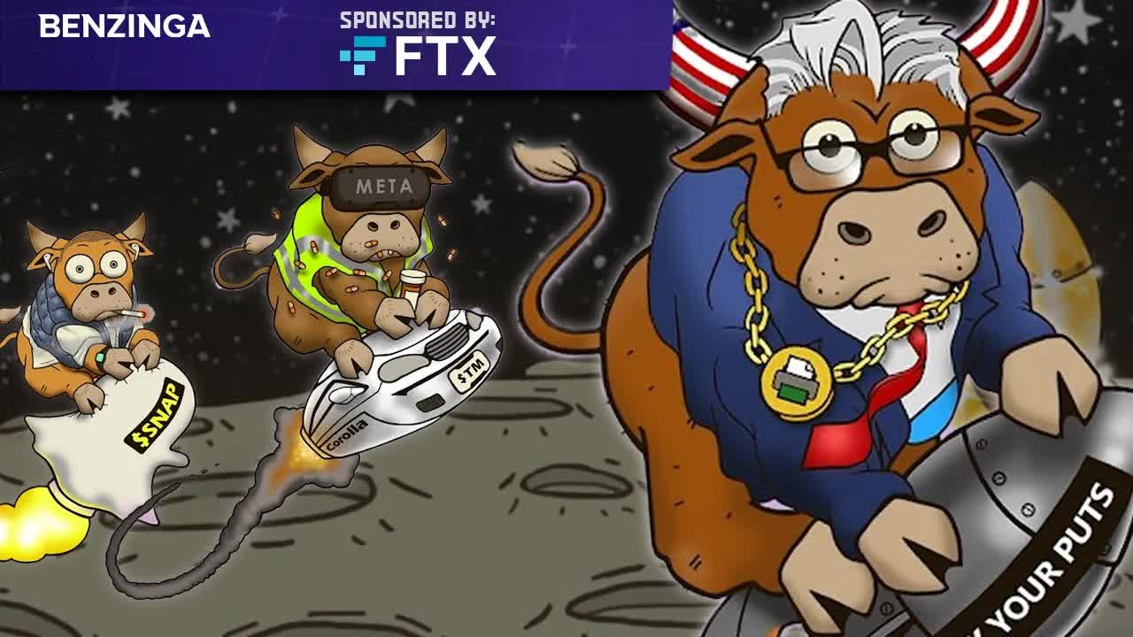 Meme Stocks & JPEGS UNITE | Wall St Bulls NFT, Interns | The Roadmap