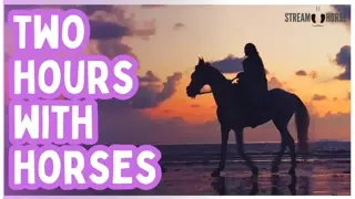 2 Hours of Horses in Dream Destinations 🐴🌎 Relax, Explore & Get Inspired