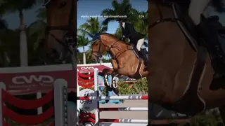 First #WEF2026 moments with Valdes 🐎🤩🐎💙