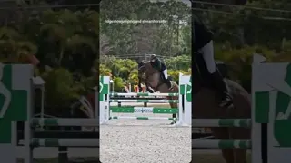 Thank you Jean for showing with us at The Ridge, where horses MATTER! 🇧🇪🐎🇺🇸